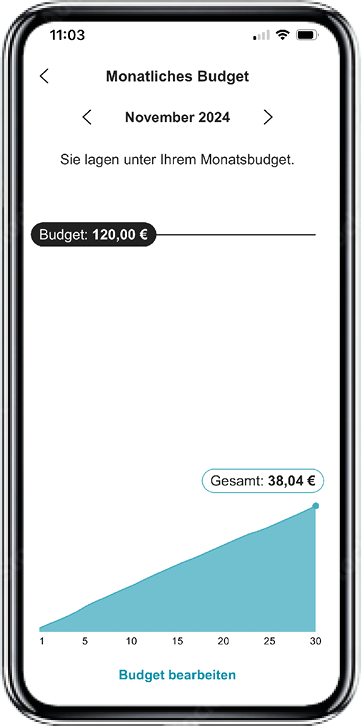 Screenshot der Cockpit App mit monatlichem Budget für November 2024 und Diagramm, das zeigt, dass das Budget unter dem Gesamtverbrauch lag.