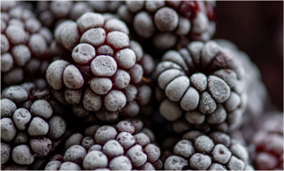 E-sparen_Beeren